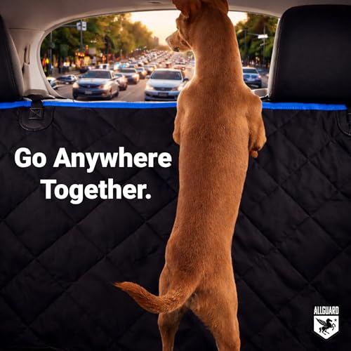 Dog Car Seat Cover for Back Seat, Waterproof, Scratchproof, Nonslip, Dog Hammock for Car, Safety Harness Included, Seat Covers for Pet Dogs, Truck & SUV Size (Black/Blue)
