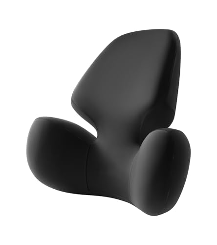 BEBAS Lumbar Support Pillow for Office Chair - Ergonomic Memory Foam Back Cushion for Lower Back Pain Relief - Washable & Breathable Cover - Fits Car Seats, Gaming Chairs & Wheelchairs - Black - color: Black