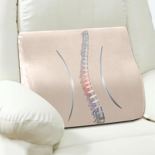 Lumbar Support Pillow for Recliner Chair and Couch, Memory Foam Back Cushion Ergonomic Large Back Support Pillow for Lower Back Pain Relief, with Soft Velvet - color: Beige