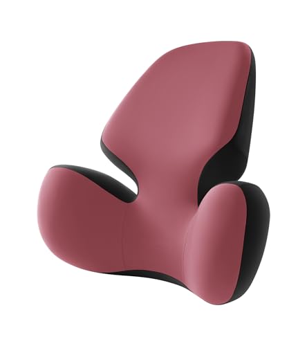 BEBAS Lumbar Support Pillow for Office Chair - Ergonomic Memory Foam Back Cushion for Lower Back Pain Relief - Washable & Breathable Cover - Fits Car Seats, Gaming Chairs & Wheelchairs - Red - color: Red