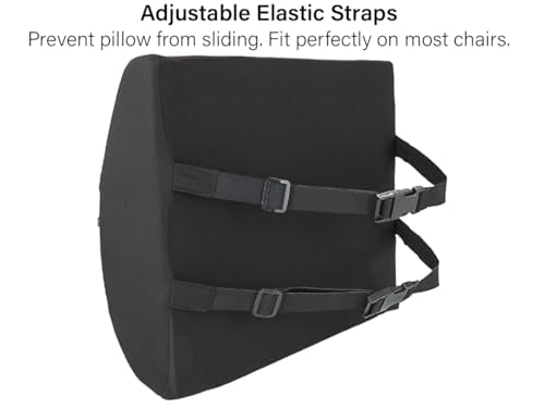 Vaunn Medical Seat Cushion, Lumbar Back Support Pillow for Office Chair with Removable Firm Insert