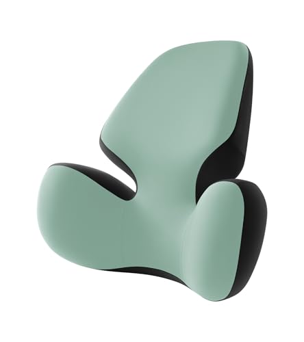 BEBAS Lumbar Support Pillow for Office Chair - Ergonomic Memory Foam Back Cushion for Lower Back Pain Relief - Washable & Breathable Cover - Fits Car Seats, Gaming Chairs & Wheelchairs (Green) - color: Green