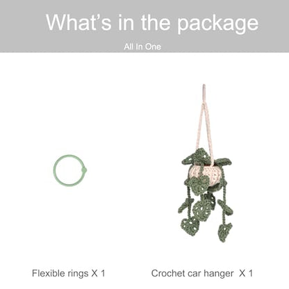 DICHA Crochet Hanging Plant - Aesthetic Car Accessory for Women - Rear View Mirror Leaf