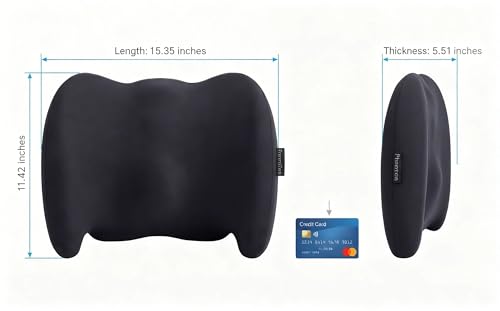 Lumbar Support Pillow Memory Foam Back Cushion for Sciatica & Lower Back Pain Relief Orthopedic Posture Corrector for Office Chair Gaming Chair Car Seat Breathable Washable Dark Gray - color: Dark Gray