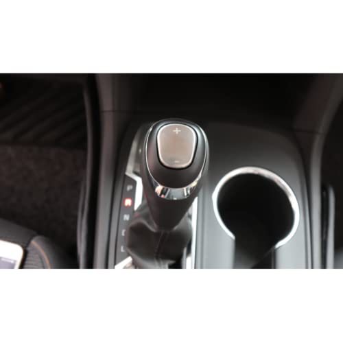 Eridanus Car Accessories Gear Shift Knob Cover Trim Fit for Chevrolet Equinox 2018 2019 2020 2021 (Silver) Chrome Titanium Stainless Steel Shift Knob 1PC - color: Silver