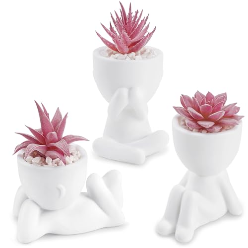 Der Rose 3 Pcs Fake Succulents Plants Artificial Pink Room Office Desk Decor for Women - color: Pink