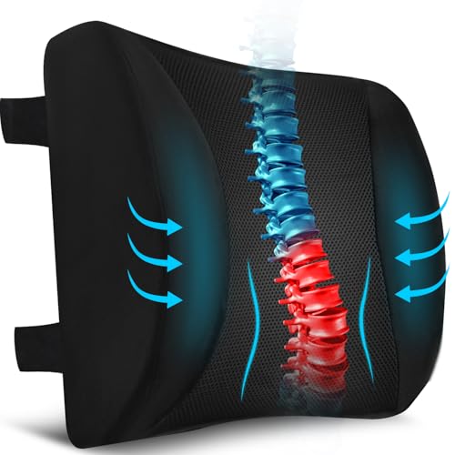 Lumbar Support Pillow for Office Chair Car, Gaming Chair Lower Back Pain Relief Memory Foam Cushion with 3D Mesh Cover Ergonomic Orthopedic Back Rest Lower Back Support