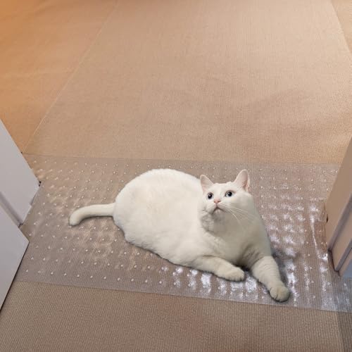 Carpet Protector for Pets Cat Scratch Carpet Protector Easy to Cut Plastic mat for Carpet Anti Scratch Under Door Mat Carpet Scratch Stopper from Cat Dog Scratching 3.6FT (Clear, 3pcs) - size: 3pcs