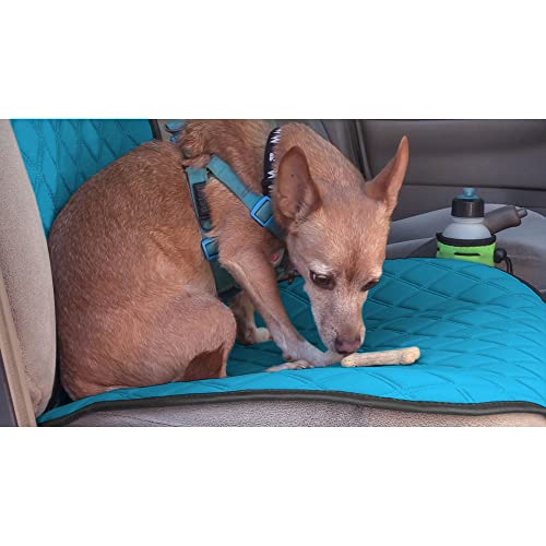 FH Group Car Seat Cushion – Neosupreme Single Front Seat Cover with Front Pockets, Airbag Compatible, Universal Fit Car Seat Cushion for Driver or Passenger Seat, SUV, Truck, Sedan & Van – Aqua - color: Aqua, style: Front