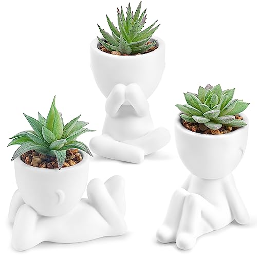 Der Rose 3pcs Fake Succulents Plants Artificial for Bathroom Bedroom Home Room Decor Aesthetic Indoor - color: White