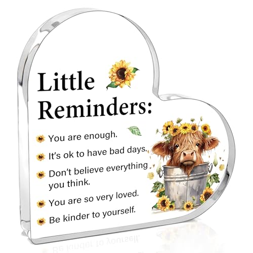 Inspirational Highland Cow Gifts for Women Men, Motivational Positive Affirmation Highland Cow Decor Gifts for Friend Sister Coworkers, Heart Acrylic Self Care Desk Sign, Mental Health Birthday Housewarming Gift