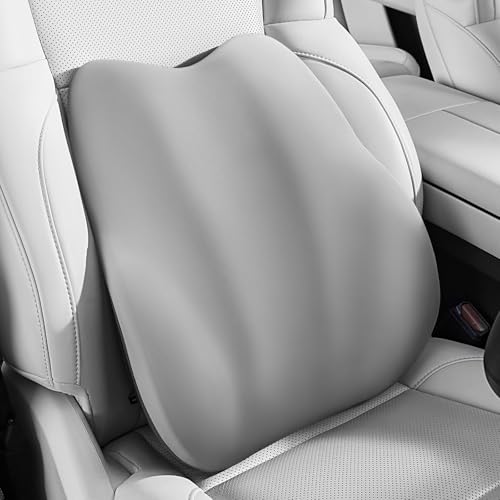 BEBAS Lumbar Support Pillow for Car, Memory Foam Back Cushion for Driving, Ergonomic Lumbar Pillow for Pain Relief, Comfort Lower Back Support for Office Chairs, Car Seat, Wheelchair -Gray - color: Gray