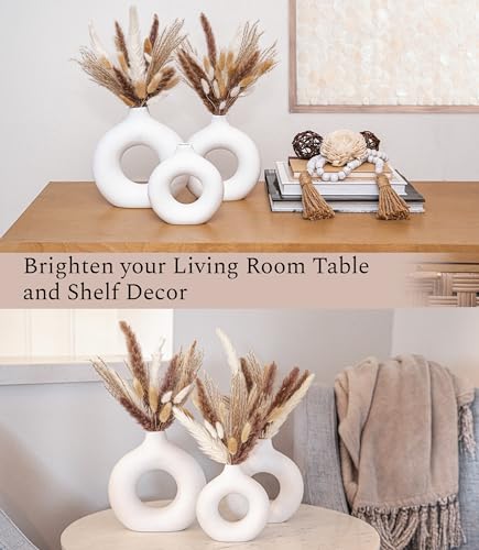 Set of 3 White Ceramic Vase with 65 PCS Dried Pampas Grass Flowers Aesthetic Boho Modern Small Round Cute Vases for Decor Living Room Coffee Table Shelf Bedroom Office Desk Home Gifts Women Mom