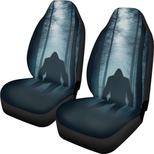 Pehede Car Seat Cover Mysterious Monster Front for Cars, Easy to Install Cover Set, Accessories Auto Trucks Van SUV,2 Packs - color: Multi22