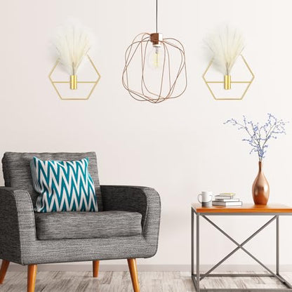 2 Pcs Boho Wall Decor Metal Gold Wall Art Hanging Planters with Artificial Pampas Modern Home Decor Display Art for Living Room Bedroom Bathroom(Hexagon) - style: Hexagon