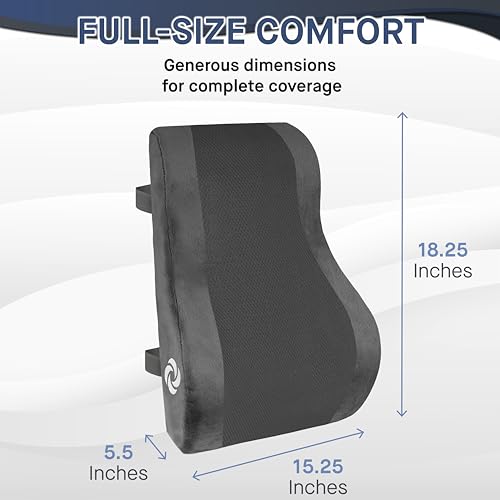 Samsonite Ergonomic Lumbar Support Pillow for Office Chair and Car Seat - Memory Foam Back Support Lumbar Pillow, Premium Cushion Chair Support for Lower Back Pain Relief and Versatile Use (Gray)