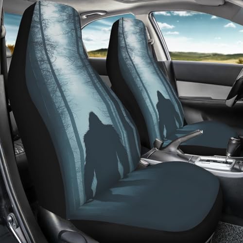 Pehede Car Seat Cover Mysterious Monster Front for Cars, Easy to Install Cover Set, Accessories Auto Trucks Van SUV,2 Packs - color: Multi22