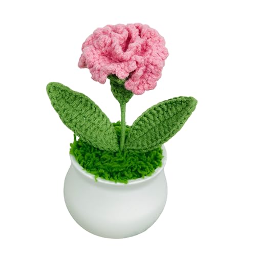 Joekaran Crochet Flowers Cute Little Potted Flower, Gift for Mother's Day, Birthday, Teacher’s Day, Graduation, Anniversary, Decor for Car Dashboard,Home Office Decoration (Rose red Carnation) - color: Rose Red Carnation