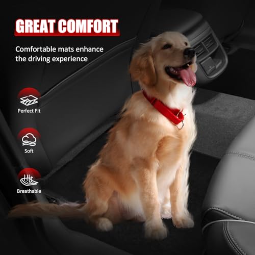 IKON MOTORSPORTS, Nylon Car Floor Mats Compatible with 2021-2025 Buick Envision, OE Fitment Style Black Driver Passenger Car Carpets, Front Rear 4PCS Full Set
