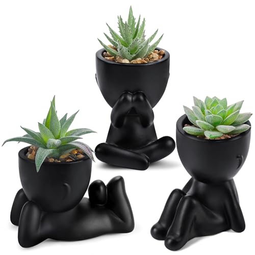 Der Rose 3pcs Fake Succulents Plants Artificial for Black Bathroom Bedroom Home Living Room Halloween Decor Aesthetic Indoor - color: Black