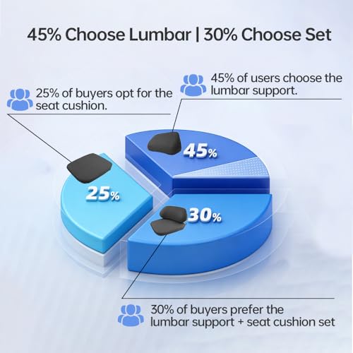 2Pack Lumbar Support Pillow & Seat Cushion for Car, Breathable Mesh, Wear-Resistant, Ergonomic Design, Back and Waist Support, Hip Cushioning, Comfortable for Long Time Driving and Sitting - size: Style A Lumbar Support & Cushion Combo