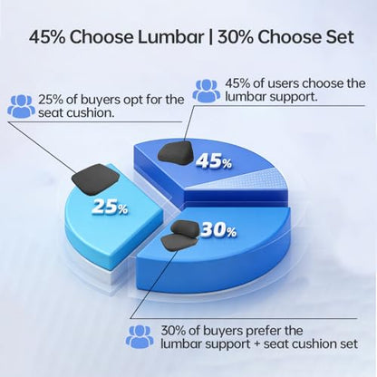 2Pack Lumbar Support Pillow & Seat Cushion for Car, Breathable Mesh, Wear-Resistant, Ergonomic Design, Back and Waist Support, Hip Cushioning, Comfortable for Long Time Driving and Sitting - size: Style A Lumbar Support & Cushion Combo