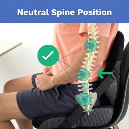 Adjust Lumbar in Any Seat | Developed by a Doctor | Seat Cushion for Office Chair, Car, Truck Driver, Bleachers | Pressure Relief | Designed w/Spine Specialists for Long Sitting Hours