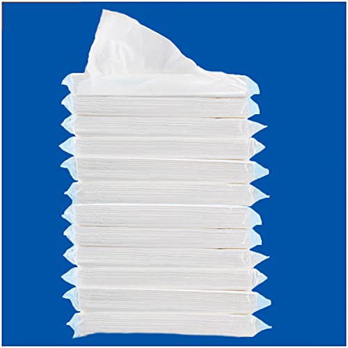 Car Tissue, Auto Visor Tissues Refills for Cars Tissues Case, Napkin Holder Refill, Nice Tissue for Sun Visor Box, Car Travel Napkin, Soft and Smooth, 3-Ply, 12 Packets, 360 Sheets - size: 30 Count (Pack of 12)