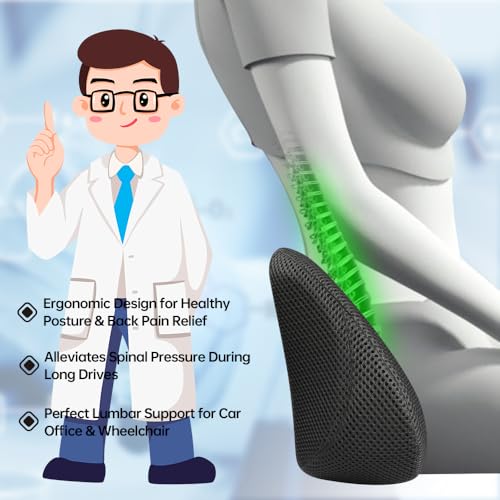 1P Car Lumbar Support with Ergonomic Structure, Suitable for Office Chairs, Gaming Chairs and Car Seats, Memory Foam Material with Breathable Mesh Fabric, Long-Lasting Lumbar Support - size: Style A Lumbar Support