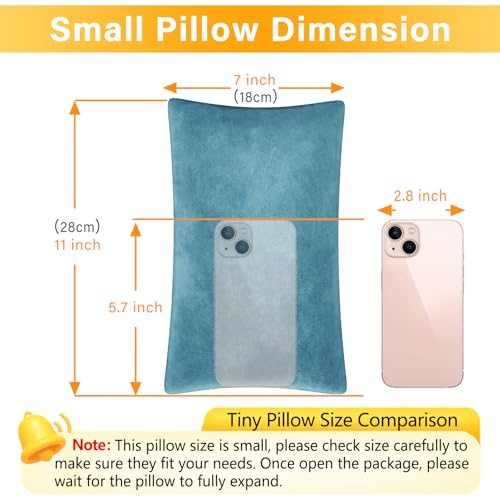 1 MIDDLE ONE 2 Pack Small Pillow, Memory Foam Mini Pillow 11 X 7 Inches for Travel, Sleeping, Nap and Neck, Knee, Lumbar Support, Tiny Cushion for Pet, Dogs (Lake Blue) - color: Lake Blue, size: 11x7 inch