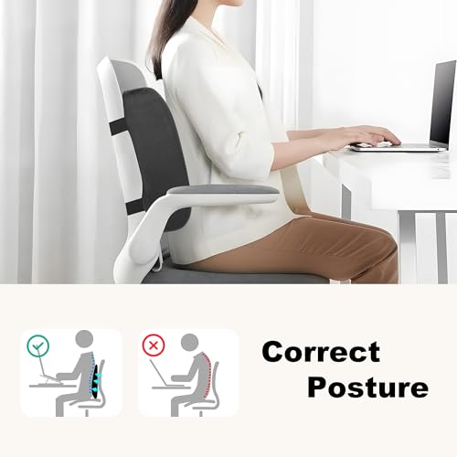 CILI Lumbar Support Pillow for Office Chair, Heated Back Support Pillow with Vibration, Back Massager for Chair, Back Rest Cushion Pillow for Desk Chair Sofa, Gifts for Mom Dad Women Men