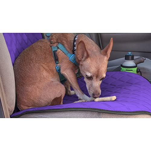 FH Group Car Seat Cushion – Neosupreme Single Front Seat Cover with Front Pockets, Airbag Compatible, Universal Fit Car Seat Cushion for Driver or Passenger Seat, SUV, Truck, Sedan & Van – Purple - color: Purple, style: Front