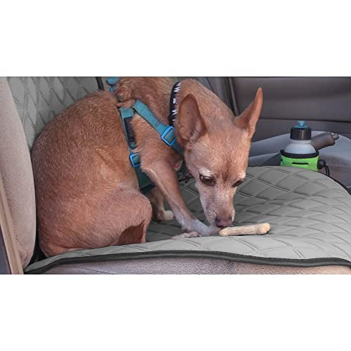 FH Group Car Seat Cushion – Neosupreme Single Front Seat Cover with Front Pockets, Airbag Compatible, Universal Fit Car Seat Cushion for Driver or Passenger Seat, SUV, Truck, Sedan & Van – Gray - color: Gray, style: Front