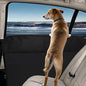 [2 Pack] Car Door Protector for Dogs, Fits Full-Size SUVs & Trucks, 20% Larger Anti-Scratch PU Leather Door Guard with Stay-in-Place Metal Inserts, Includes Bonus $9 Dog Safety Seat Belt - Black