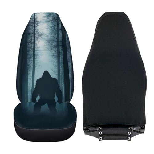 Pehede Car Seat Cover Mysterious Monster Front for Cars, Easy to Install Cover Set, Accessories Auto Trucks Van SUV,2 Packs - color: Multi22