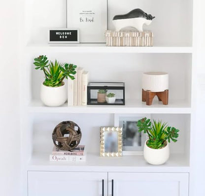 Briful Artificial Succulents Plants in Ceramic Pot, Faux Succulent with White Planters – Modern Desk Decor for Home Office Shelf Bathroom, Small Fake Plants Potted