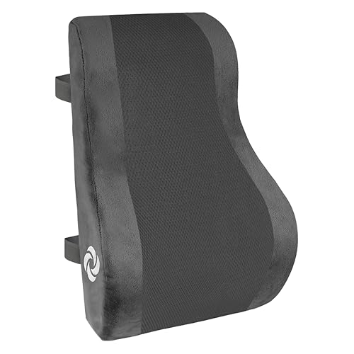 Samsonite Ergonomic Lumbar Support Pillow for Office Chair and Car Seat - Memory Foam Back Support Lumbar Pillow, Premium Cushion Chair Support for Lower Back Pain Relief and Versatile Use (Gray)