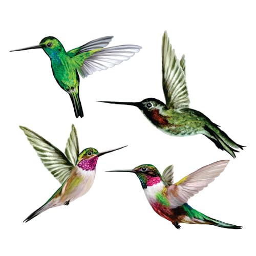 4-Pack Hummingbird Window Clings – Anti-Collision Bird Strike Decals for Glass Safety – Static Cling, Double-Sided, 100% Reusable & Made in USA (Realistic Multi-Color) - size: 4 Count Standard Hummingbirds