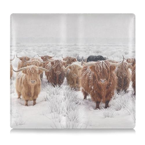 linqin Car Registration and Insurance Card Holder, Winter Scottish Highland Cow Glove Box Organizer Card Document Wallet - color: Winter Scottish Highland Cow