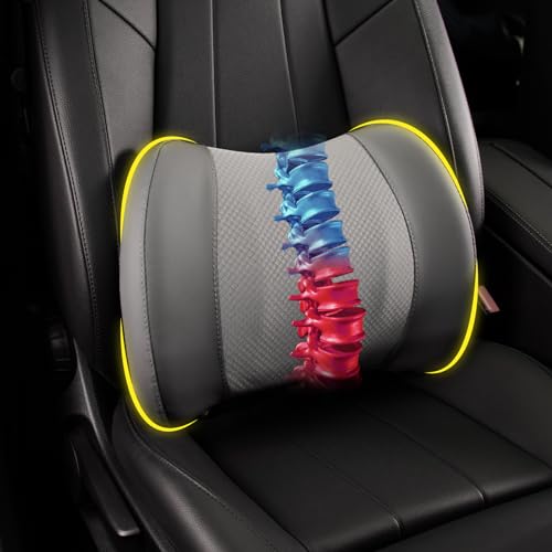 Lofty Aim Lumbar Support Pillow for Car, Memory Foam Lumbar Pillow for Lower Back Pain Relief - Back Cushion for Driving, Chair Support for Car-Office Chair, Wheelchair - Dark Grey - color: Dark Grey