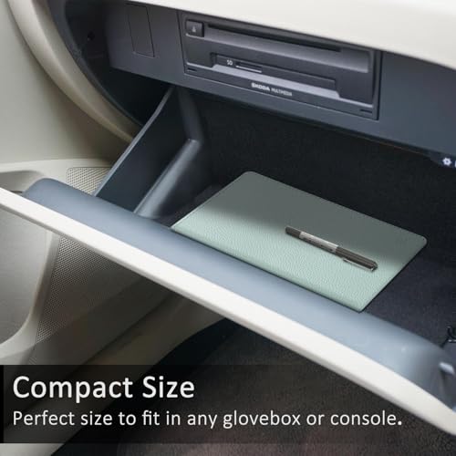 FINPAC Car Registration and Insurance Card Holder, Vehicle Glove Box Card Organizer Wallet Automobile Accessories for License - color: Ice Blue