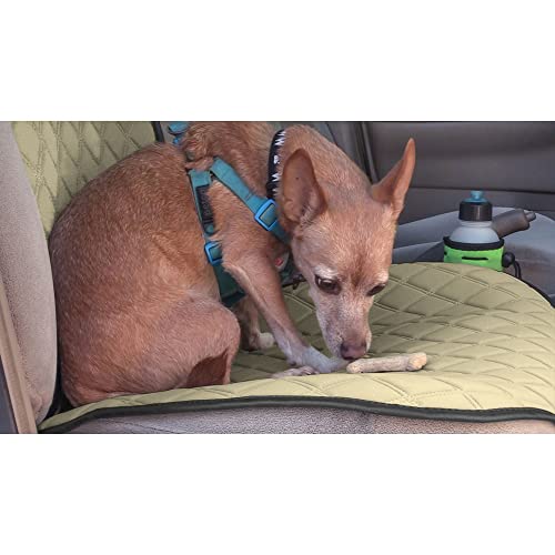 FH Group Car Seat Cushion – Neosupreme Single Front Seat Cover with Front Pockets, Airbag Compatible, Universal Fit Car Seat Cushion for Driver or Passenger Seat, SUV, Truck, Sedan & Van – Beige - color: Beige, style: Front