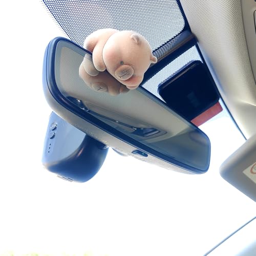 Cute Furry Animal Rear View Mirror Accessories, Car Dashboard Ornament Center Screen Decoration Rearview Mirror Charm, Car Accessories Interior Decor for Women/Men - style: Capybara