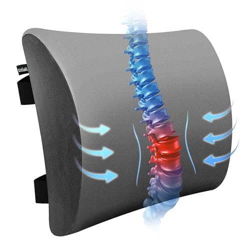 SPRING SEAON Lumbar Support Pillow Comfortable Cooling Fabric Back Cushion with Adjustable Shoulder Straps Back Support for Wheelchair Office and Car
