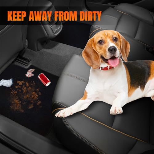 Car Floor Mat, Compatible with 2008-2015 Scion xB, Nylon Black Floor Liner Carpet Set, 4PCS
