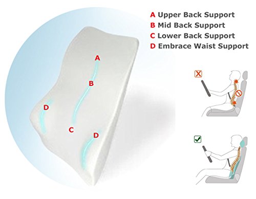 Tektrum Orthopedic Entire Back Support Full Lumbar Cushion for Car & Headrest Neck Pillow Kit - Ergonomic Thick 3D Design Fit Body Curve - Back, Neck Pain Relief, Improve Posture -Black (012011-A)