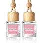 HoogaLife Car Air Freshener Diffuser 2 Pack Hanging Air Freshener Diffuser - Pink Sparkle Champagne Fragrance Oil Air Diffuse r for Car, 45+ Days Long Lasting Fragrance Made in USA (P38)