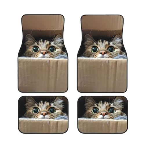 Funny Cat Auto Interior Carpet Floor Mats for Women Lovely Animal Car Mats Full Set of 4 Floor Car Mat Liners Auto Carpet Accessories for Daughter Friend Family - color: Funny Cat
