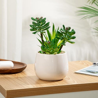 Briful Artificial Succulents Plants in Ceramic Pot, Faux Succulent with White Planters – Modern Desk Decor for Home Office Shelf Bathroom, Small Fake Plants Potted