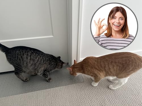 KittySmart Carpet Scratch Stopper-Stop Cats from Scratching Carpets at Doorways Instantly-PRECUT to Fit Your Door-Requires No Cutting or Modification-5 Year Warranty-Patented